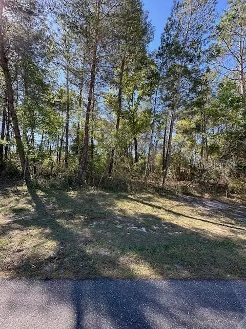 Lot 5, Ocala, FL 34473