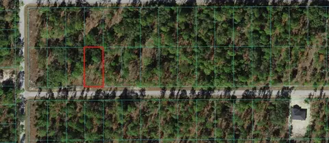 Lot 63 NW Tamarind Lane, Dunnellon, FL 34431