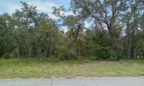 4939 W Deputy Dr, Beverly Hills, FL 34465