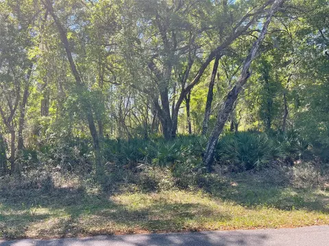 29 Locust Radial Course, Ocala, FL 34472