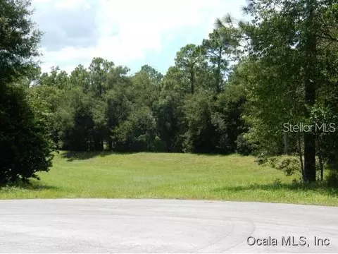 Tbd SW 96th Place, Dunnellon, FL 34432