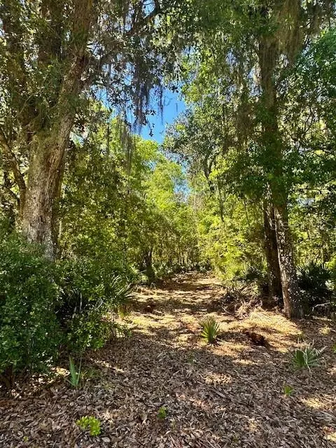 0 S County Road 325, Cross Creek, FL 32640