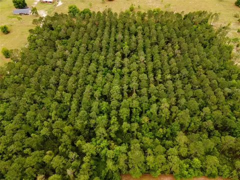 Tbd Lake Seneca Road, Eustis, FL 32726
