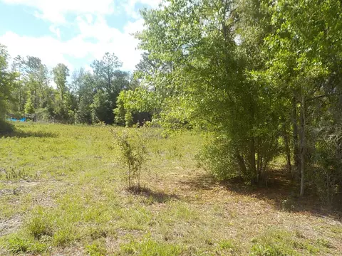 21530 SE 66 St, Morriston, FL 32668
