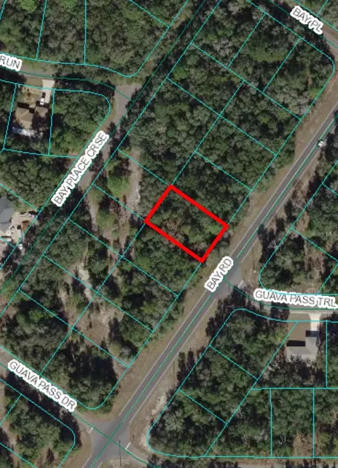 0 Bay Rd, Ocklawaha, FL 32179