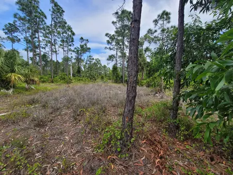 872 Audrey St E, Lehigh Acres, FL 33974