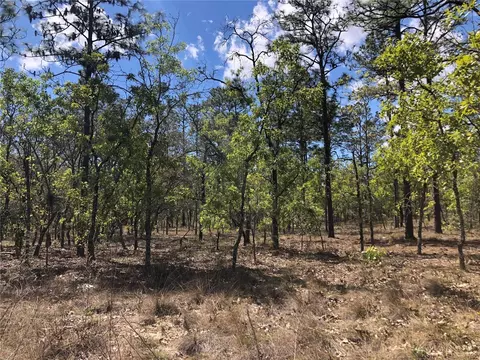 Lot 23 NW Alvarez Road, Dunnellon, FL 34431
