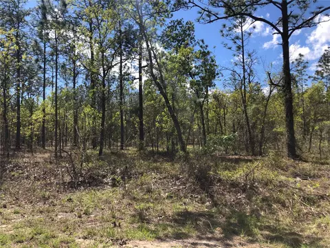 13 Southwest Commodore Road, Dunnellon, FL 34431