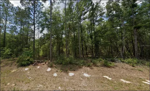 10156 N Sherman Dr, Citrus Springs, FL 34434