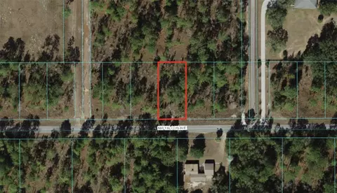 0 NW Falcon Ave #LOT 23, Dunnellon, FL 34431