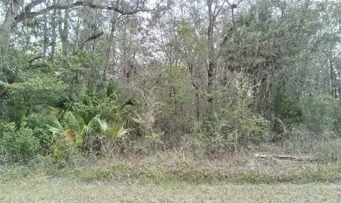 Cedarwood Avenue, Weeki Wachee, FL 34614
