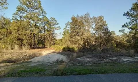 11443 N Condor Dr, Citrus Springs, FL 34434