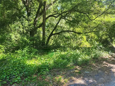 Tbd SE 147 Lane, Summerfield, FL 34491