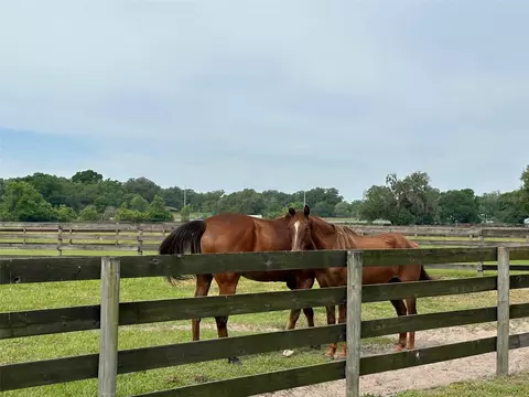 Other - 4101 NW 89th Pl, Ocala, FL 34482 photo 4 of 16