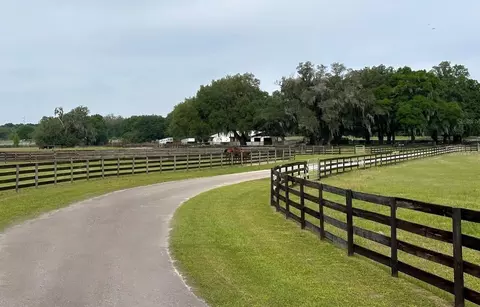 Other - 4101 NW 89th Pl, Ocala, FL 34482 photo 3 of 16