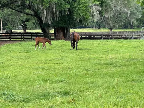 Other - 4101 NW 89th Pl, Ocala, FL 34482 photo 12 of 16