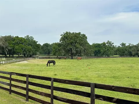 Other - 4101 NW 89th Pl, Ocala, FL 34482 photo 2 of 16