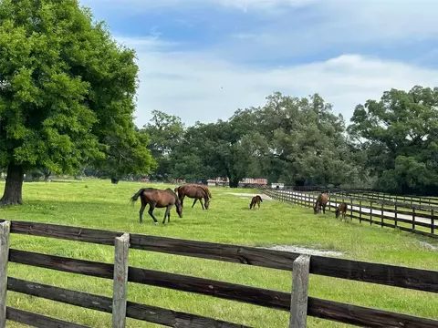 Other - 4101 NW 89th Pl, Ocala, FL 34482 photo 5 of 16