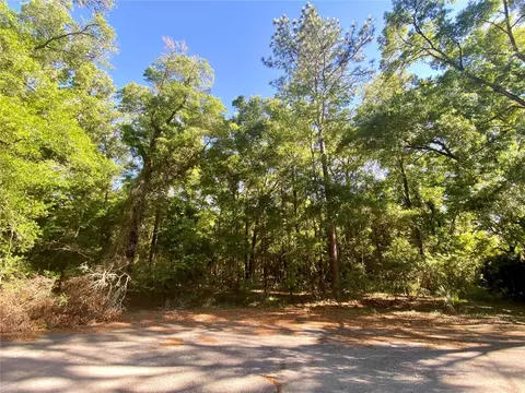 Lot 4 SW 185 Circle, Dunnellon, FL 34432