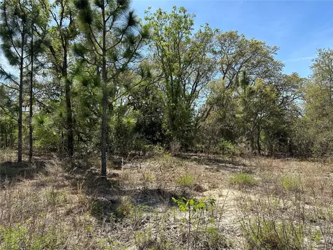 00 SW Paradise Heights Rd, Dunnellon, FL 34431