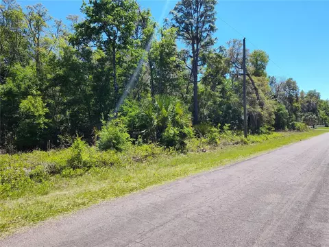 7685 N Shillelagh Ave, Crystal River, FL 34428