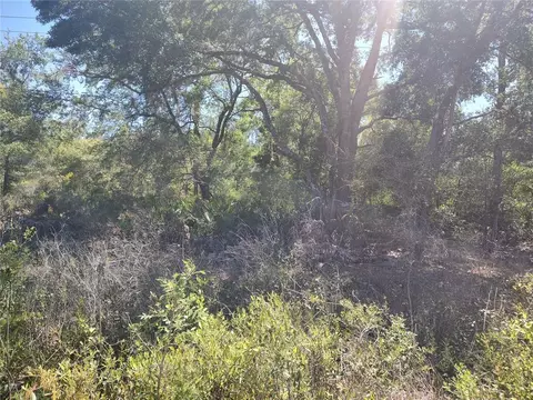 Tbd SW 158th Lane, Dunnellon, FL 34432