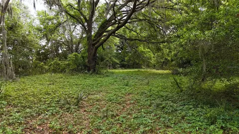2 NE Ac Ne 231st St, Fort Mc Coy, FL 32134
