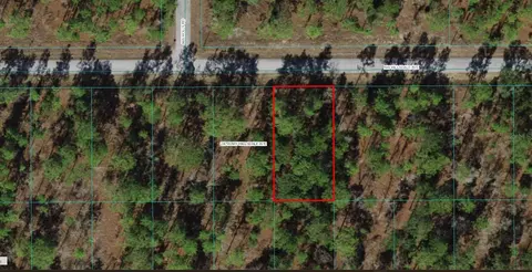 Tbd NW Hillsdale Avenue, Dunnellon, FL 34431