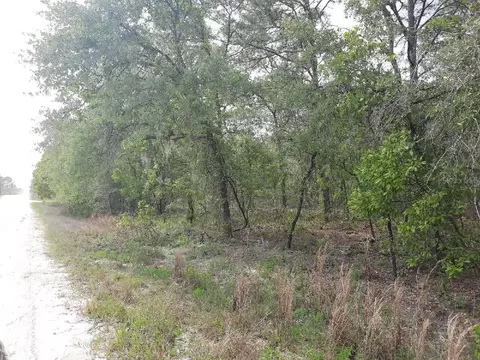 SW 78th Pl, Dunnellon, FL 34432