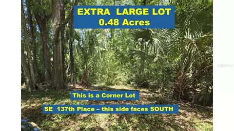 SE 137 Place, Summerfield, FL 34491
