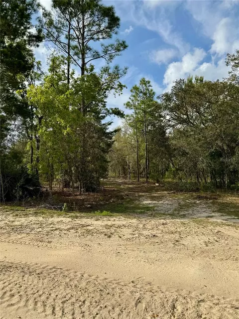 9551 NE 75th St, Bronson, FL 32621