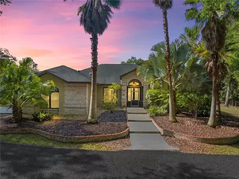 16336 SE 65th Street Rd, Ocklawaha, FL 32179