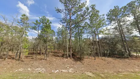 00 SW 137 Ct, Dunnellon, FL 34432