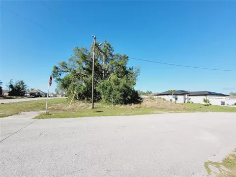 201 Begonia Ln, Kissimmee, FL 34759