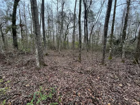 0 Marsan Rd, Perry, FL 32348