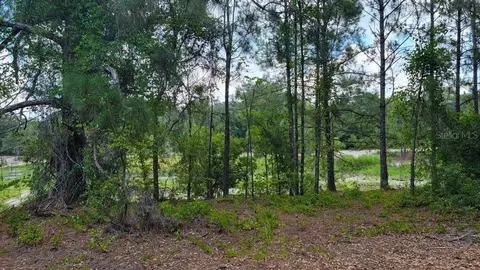 tbd Malauka Loop Run #LOT 13, Ocklawaha, FL 32179