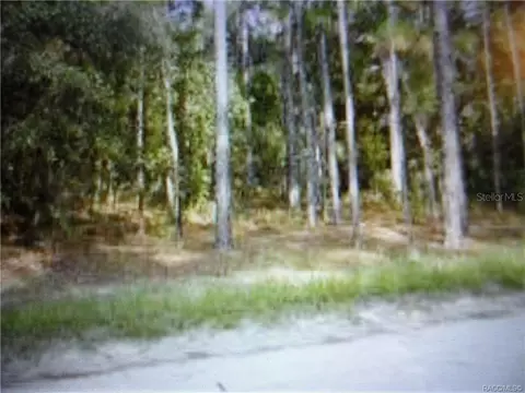 855 S Fairlane Ter, Lecanto, FL 34461