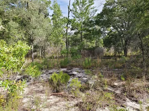 Tbd NE 81st Street, Bronson, FL 32621