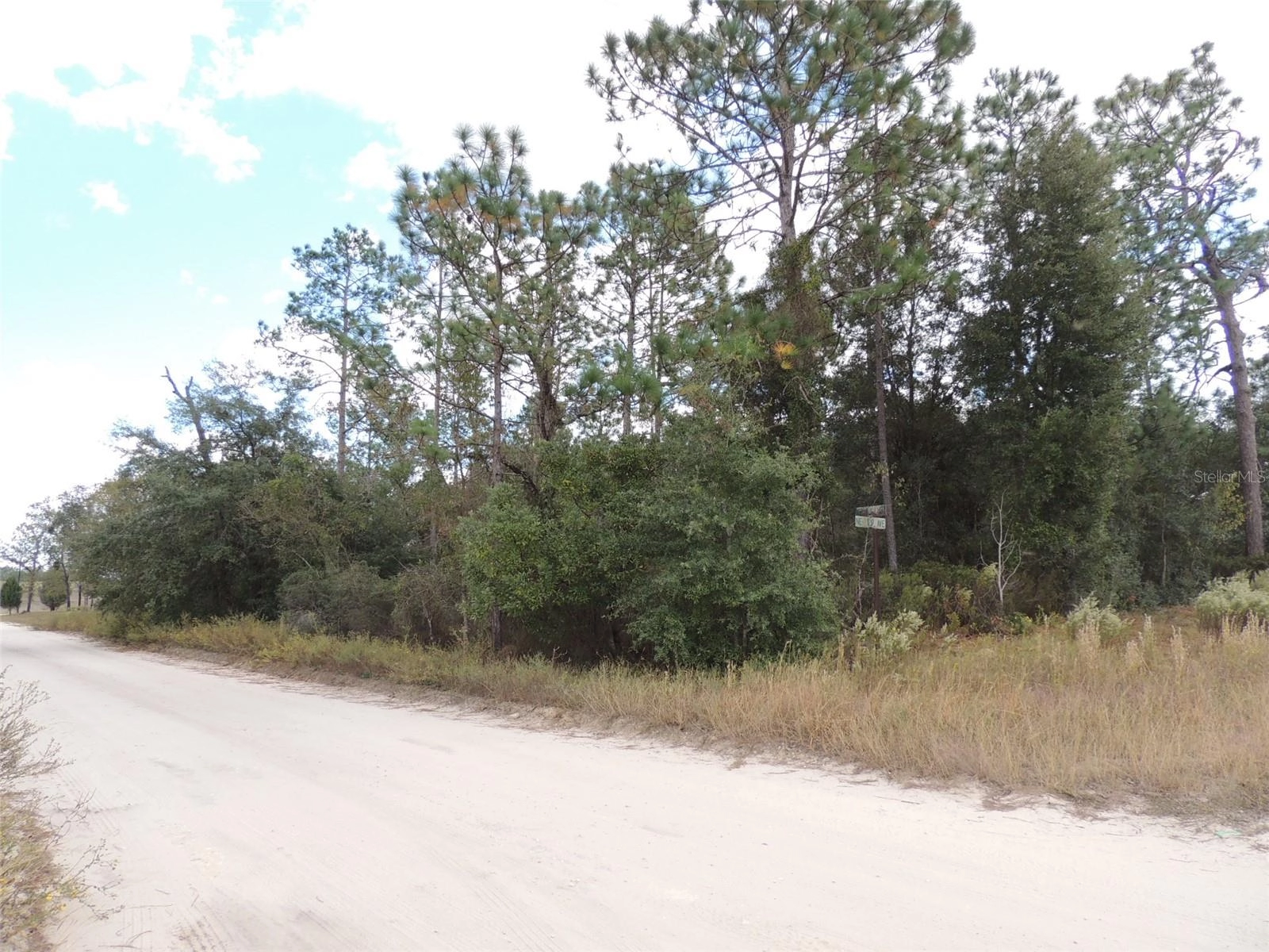 12910 NE 12th St, Williston, FL 32696 photo 1