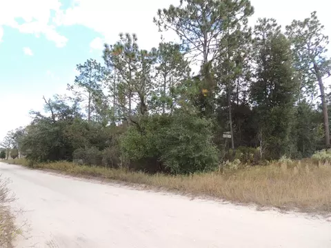 12910 NE 12th St, Williston, FL 32696