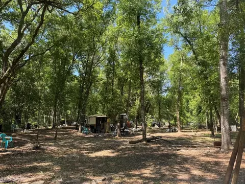 NE 59th Street, Silver Springs, FL 34488