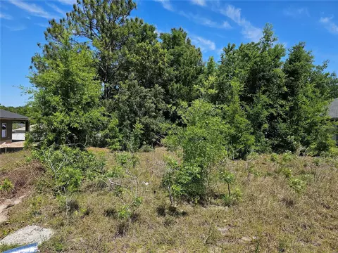 0 SE 152nd Pl, Summerfield, FL 34491