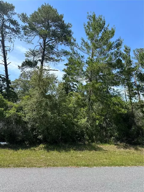 Tba SW 20 Court Rd, Ocala, FL 34473