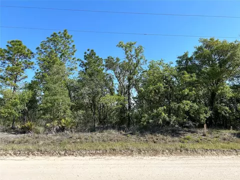 Tbd SE 21st Place, Morriston, FL 32668