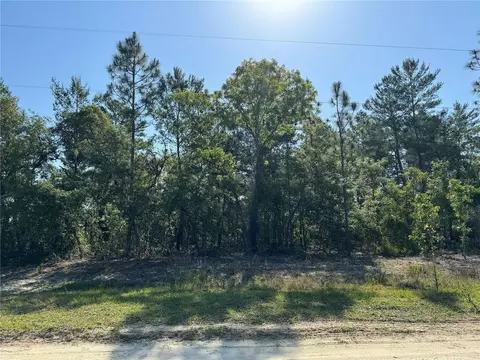 9195 SW 121st Ter, Dunnellon, FL 34432