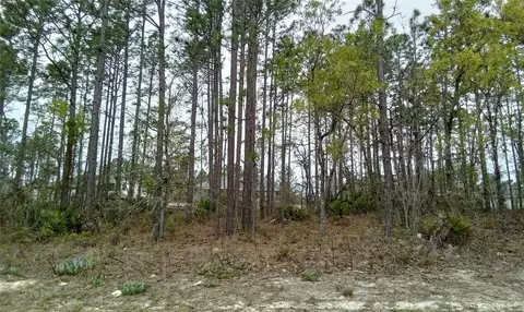 SW 131st Loop, Ocala, FL 34473