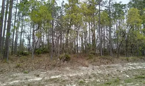 SW 63rd Avenue, Ocala, FL 34473