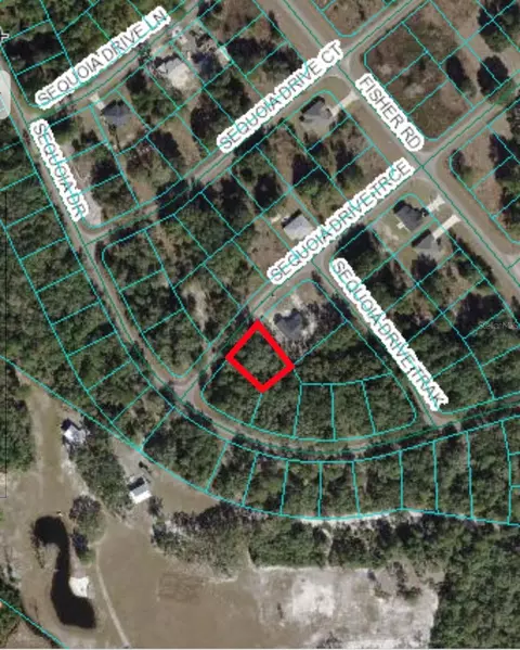 00 Sequoia Drive Trce, Ocklawaha, FL 32179