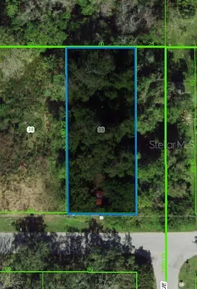 7947 Palatine Dr, Hudson, FL 34667