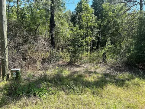 0 SW 95th Pl, Dunnellon, FL 34432